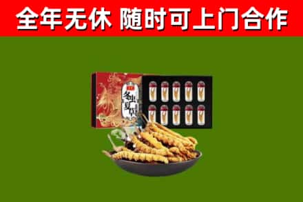 曲沃县回收冬虫夏草价格