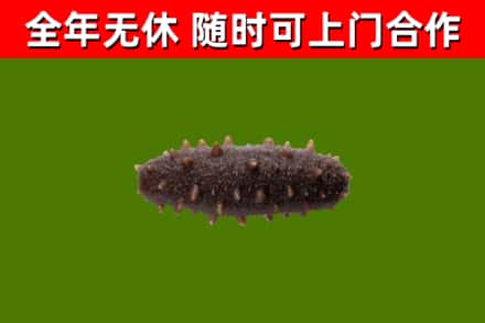 曲沃县烟酒回收干海参.jpg